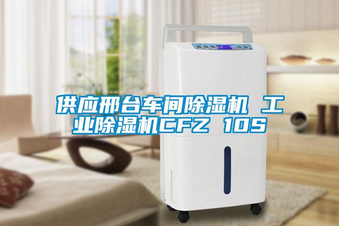供应邢台车间除湿机 工业除湿机CFZ 10S