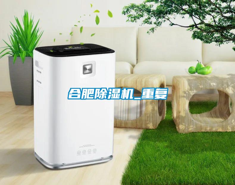 合肥除湿机_重复