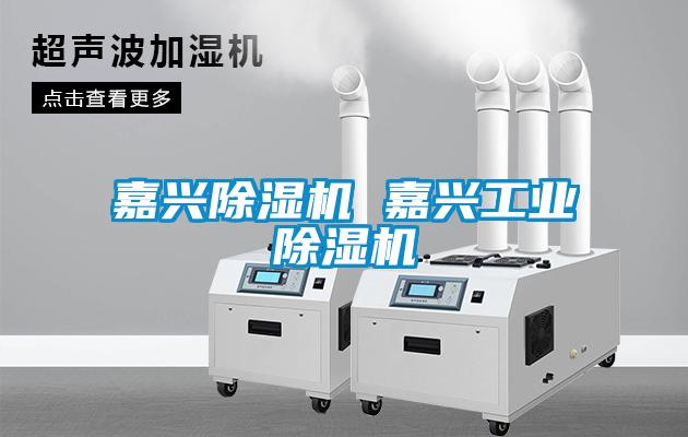 嘉兴除湿机 嘉兴工业除湿机