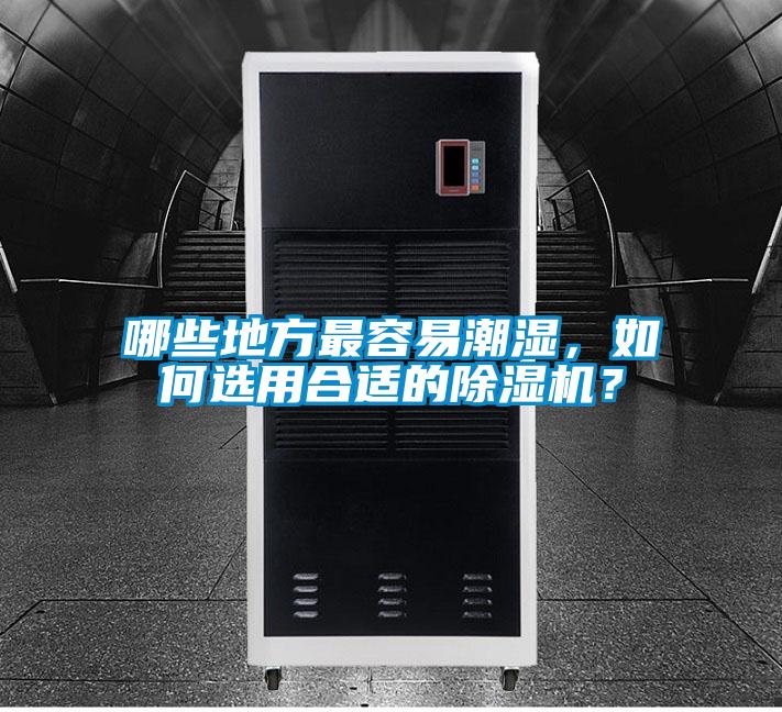 哪些地方最容易潮湿，如何选用合适的除湿机？
