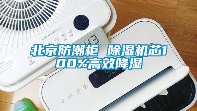 北京防潮柜 除湿机芯100%高效降湿