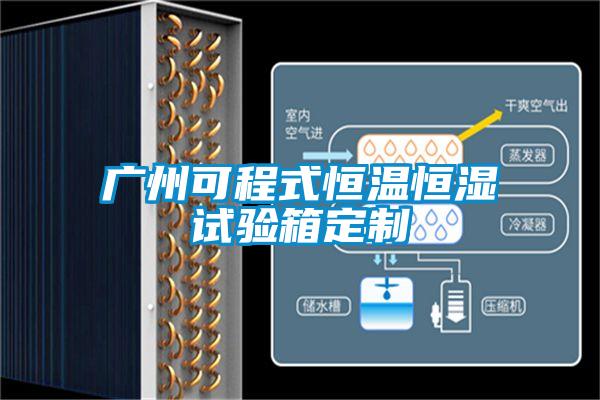 广州可程式恒温恒湿试验箱定制