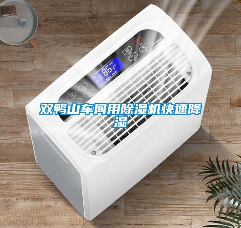 双鸭山车间用除湿机快速降湿