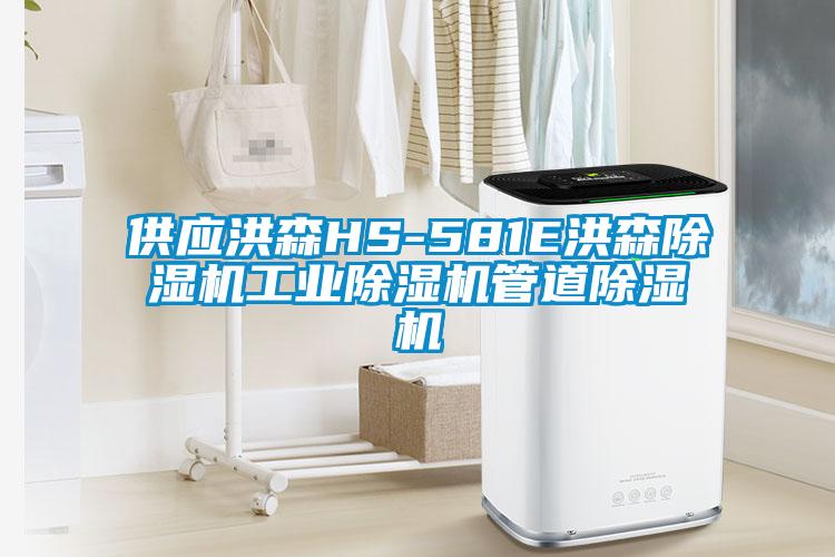 供应洪森HS-581E洪森除湿机工业除湿机管道除湿机