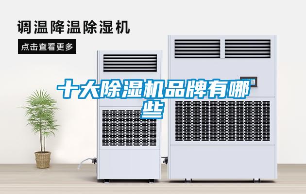 十大除湿机品牌有哪些
