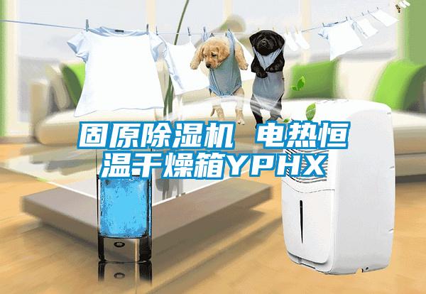 固原除湿机 电热恒温干燥箱YPHX