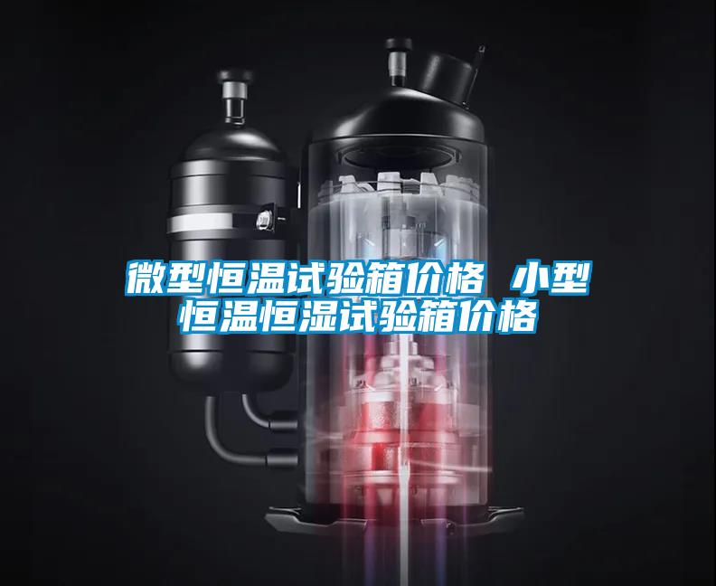 微型恒温试验箱价格 小型恒温恒湿试验箱价格