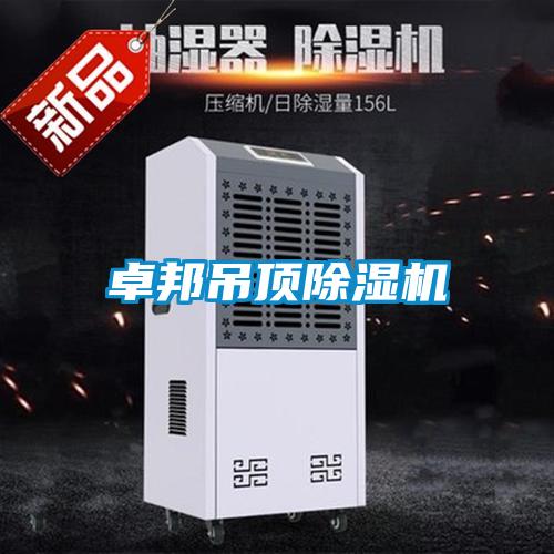 卓邦吊顶除湿机