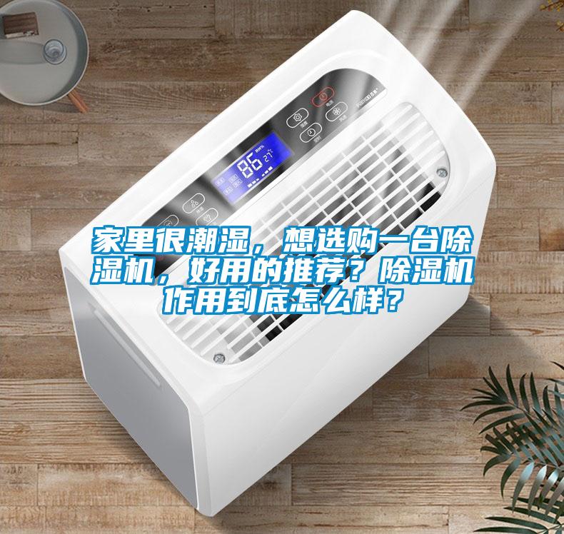 家里很潮湿，想选购一台除湿机，好用的推荐？除湿机作用到底怎么样？