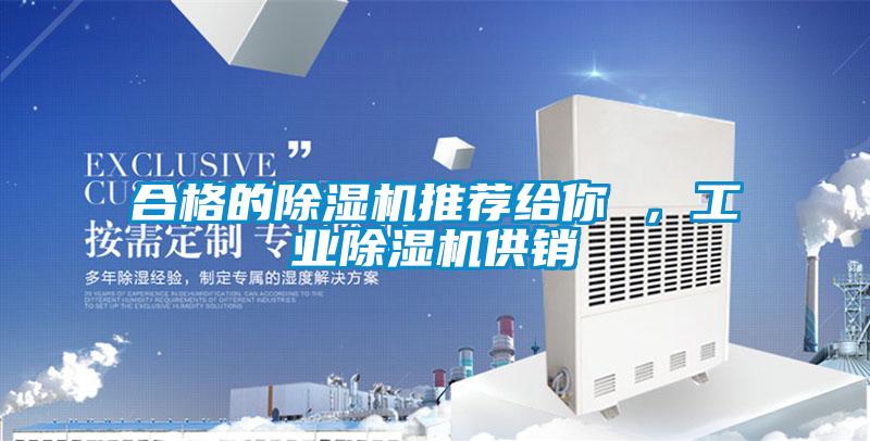 合格的除湿机推荐给你 ，工业除湿机供销