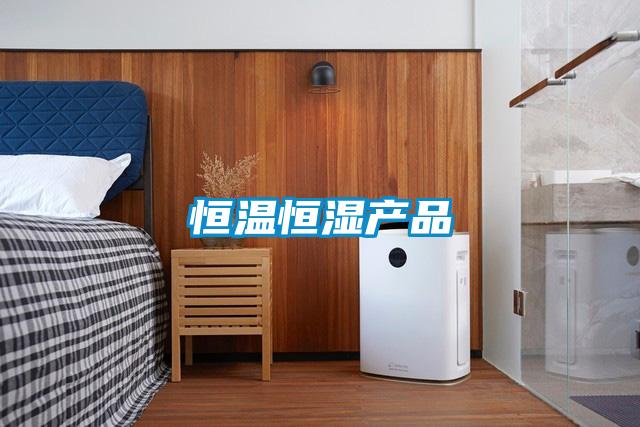 恒温恒湿产品