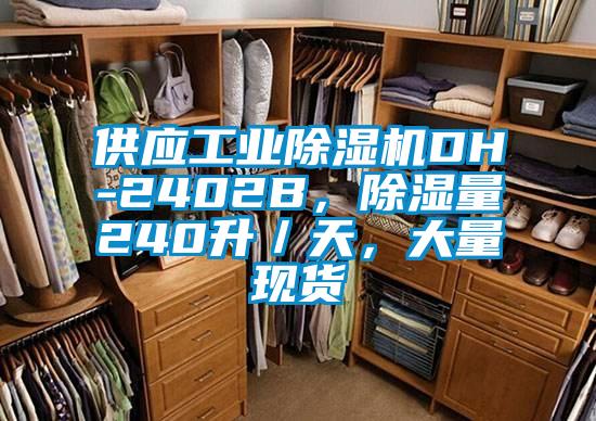 供应工业除湿机DH-2402B，除湿量240升／天，大量现货
