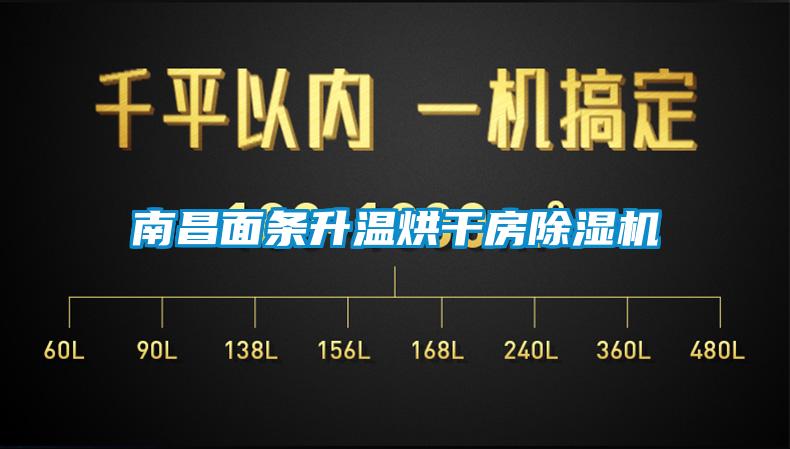 南昌面条升温烘干房除湿机