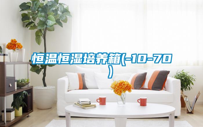 恒温恒湿培养箱(-10-70 ℃）