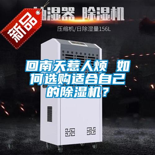 回南天惹人烦 如何选购适合自己的除湿机？