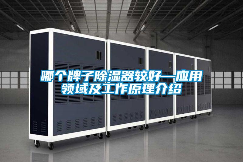 哪个牌子除湿器较好—应用领域及工作原理介绍