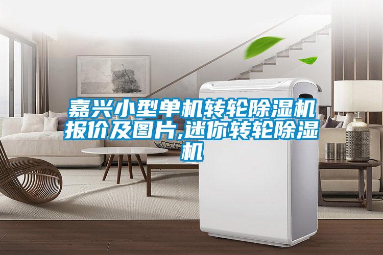 嘉兴小型单机转轮除湿机报价及图片,迷你转轮除湿机