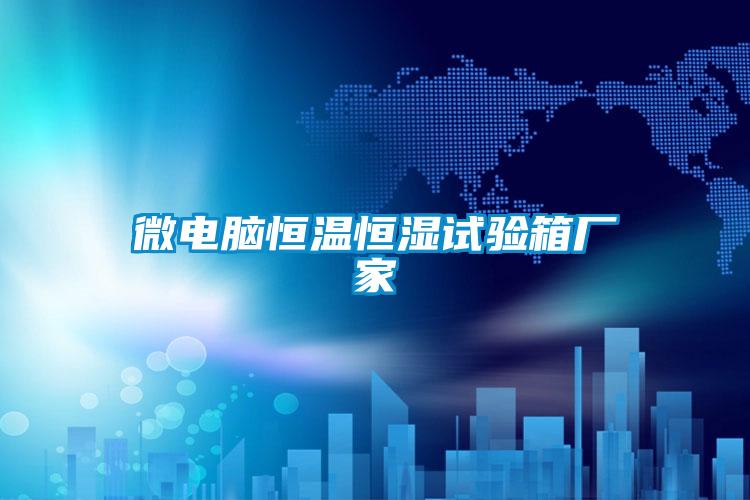 微电脑恒温恒湿试验箱厂家