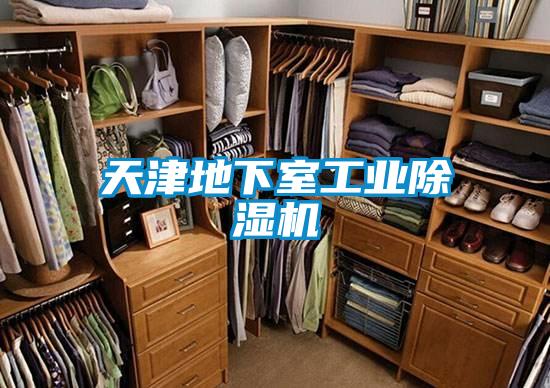 天津地下室工业除湿机