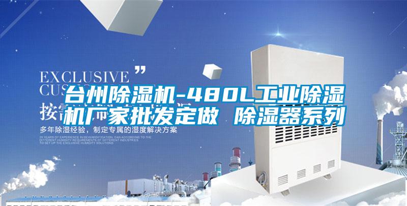 台州除湿机-480L工业除湿机厂家批发定做 除湿器系列