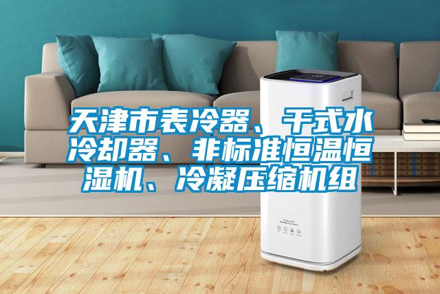 天津市表冷器、干式水冷却器、非标准恒温恒湿机、冷凝压缩机组