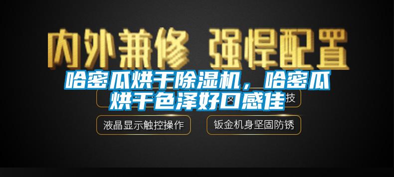 哈密瓜烘干除湿机，哈密瓜烘干色泽好口感佳