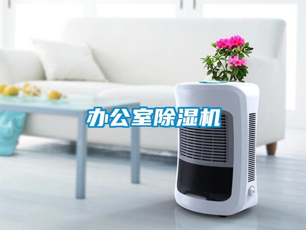 办公室除湿机