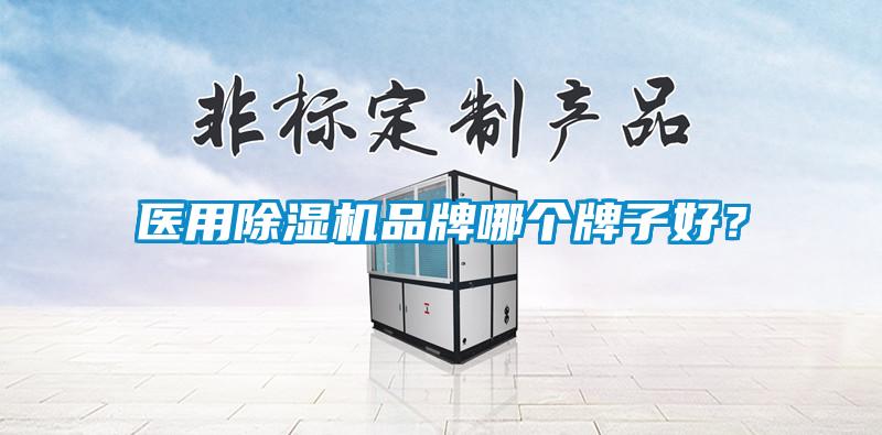 医用除湿机品牌哪个牌子好？