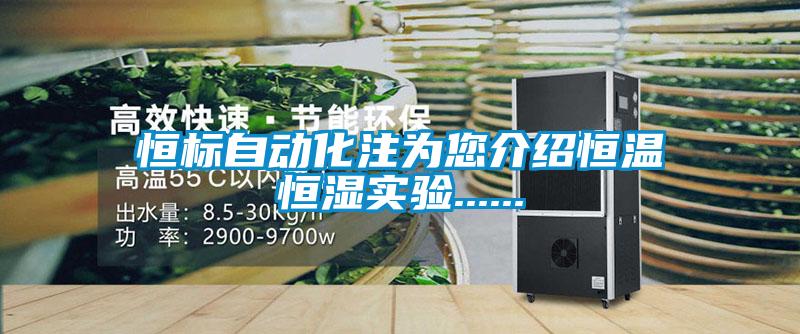 恒标自动化注为您介绍恒温恒湿实验......