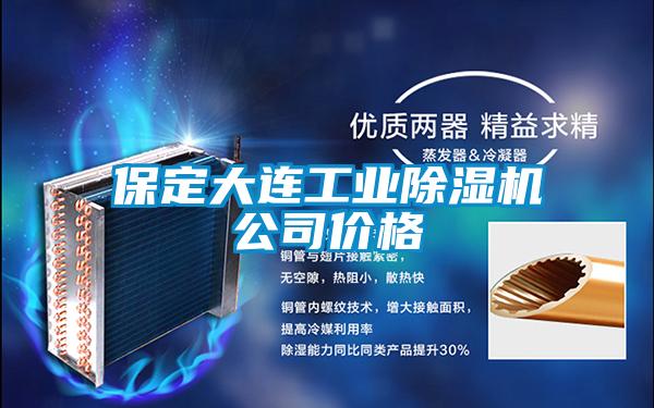 保定大连工业除湿机公司价格