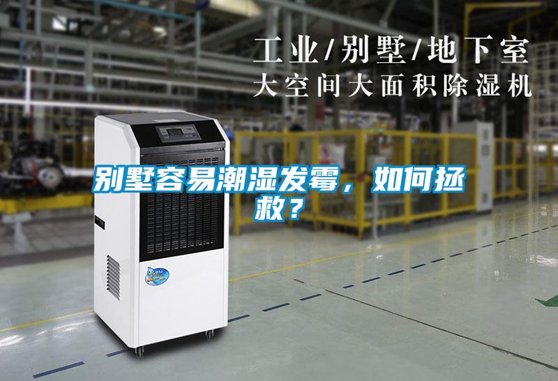 别墅容易潮湿发霉，如何拯救？