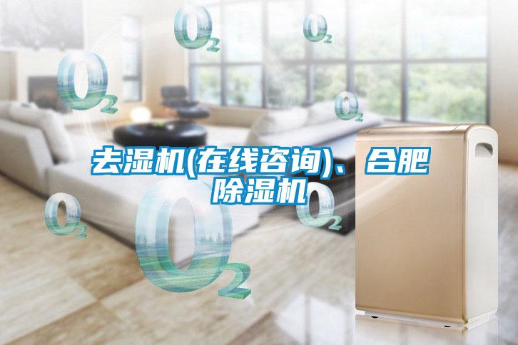 去湿机(在线咨询)、合肥除湿机