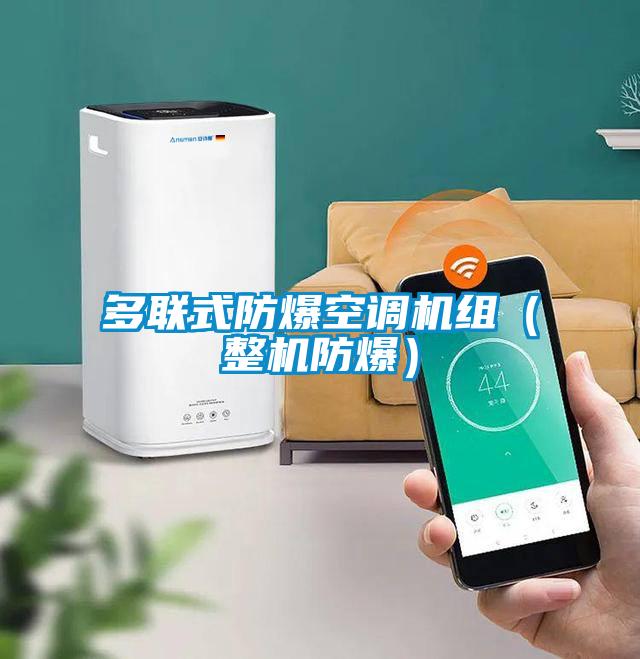 多联式防爆空调机组（整机防爆）
