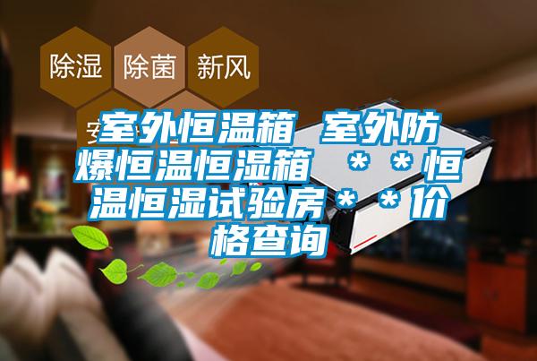 室外恒温箱 室外防爆恒温恒湿箱 ＊＊恒温恒湿试验房＊＊价格查询