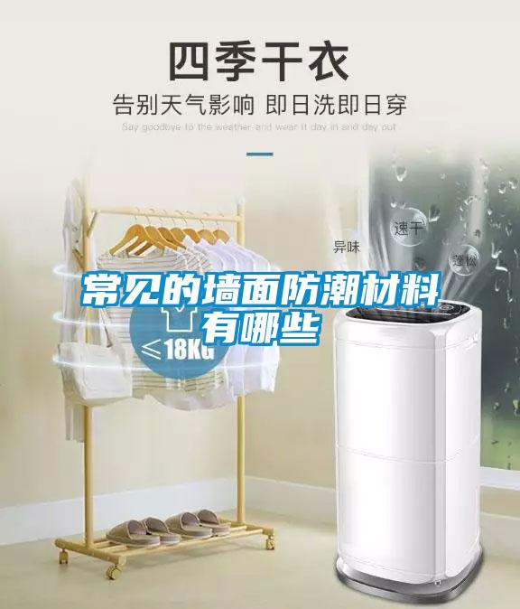 常见的墙面防潮材料有哪些
