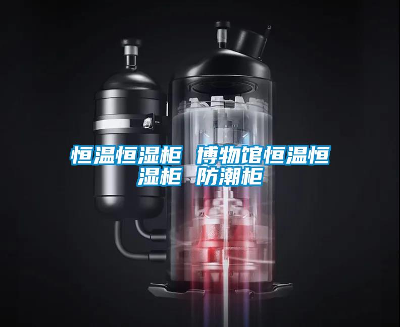 恒温恒湿柜 博物馆恒温恒湿柜 防潮柜