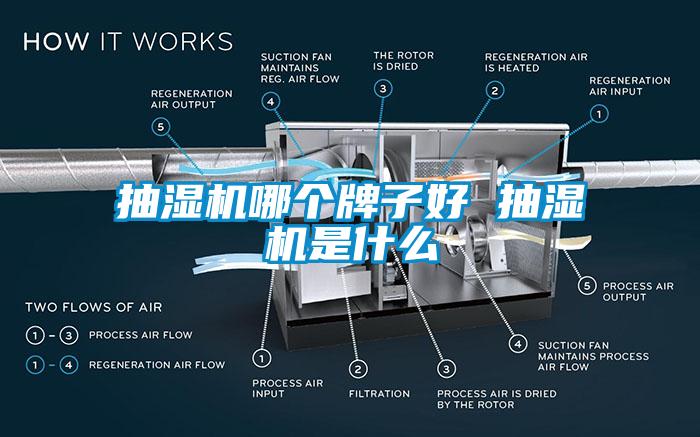 抽湿机哪个牌子好 抽湿机是什么