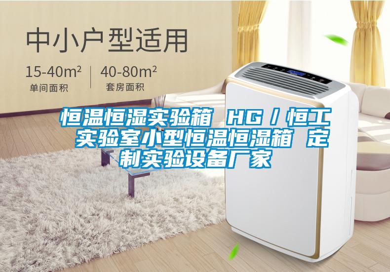 恒温恒湿实验箱 HG／恒工 实验室小型恒温恒湿箱 定制实验设备厂家