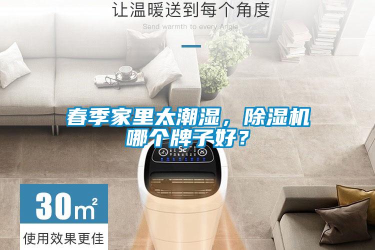 春季家里太潮湿，除湿机哪个牌子好？