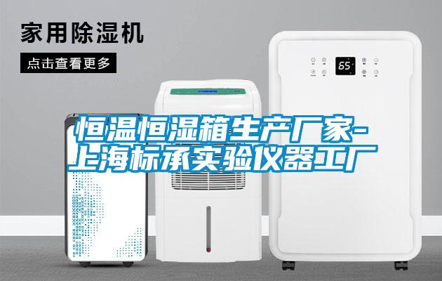 恒温恒湿箱生产厂家-上海标承实验仪器工厂