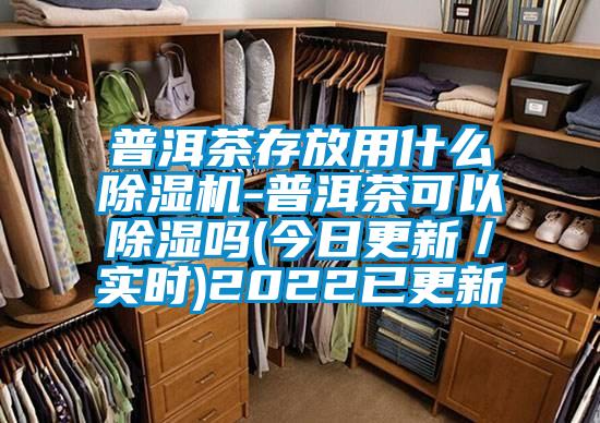 普洱茶存放用什么除湿机-普洱茶可以除湿吗(今日更新／实时)2022已更新