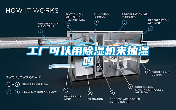 工厂可以用除湿机来抽湿吗
