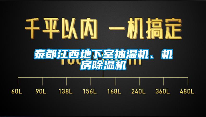 泰都江西地下室抽湿机、机房除湿机