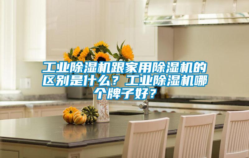 工业除湿机跟家用除湿机的区别是什么？工业除湿机哪个牌子好？