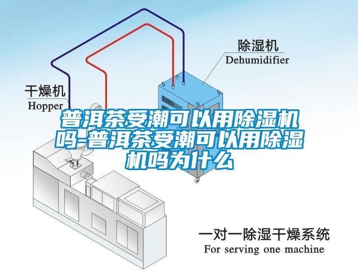 普洱茶受潮可以用除湿机吗-普洱茶受潮可以用除湿机吗为什么