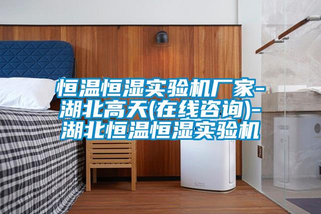 恒温恒湿实验机厂家-湖北高天(在线咨询)-湖北恒温恒湿实验机