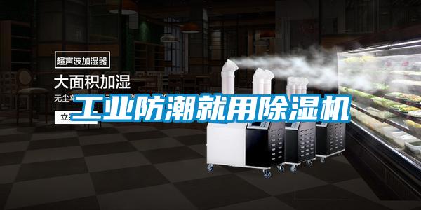 工业防潮就用除湿机