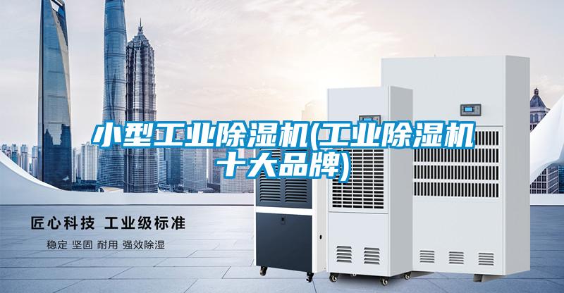 小型工业除湿机(工业除湿机十大品牌)