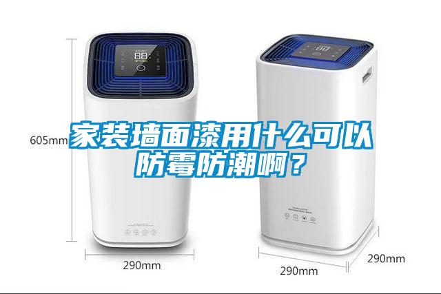 家装墙面漆用什么可以防霉防潮啊？