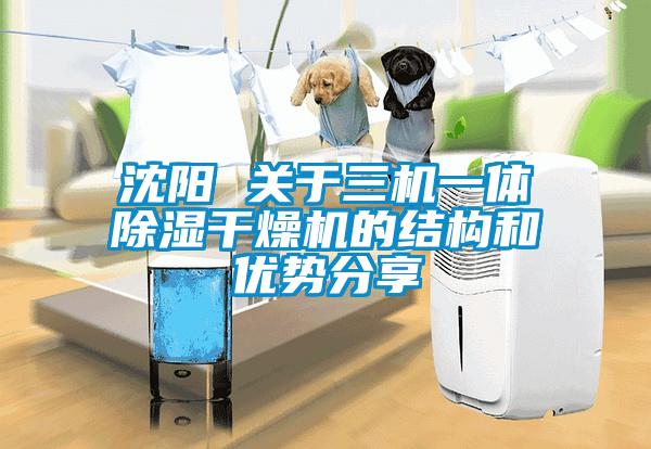 沈阳 关于三机一体除湿干燥机的结构和优势分享
